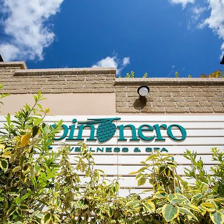 Pinonero